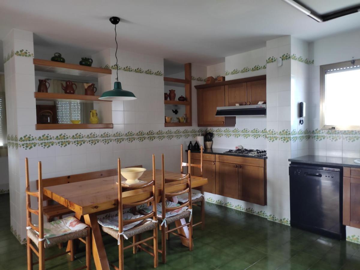 Villa De L'Ebre Deltebre Ngoại thất bức ảnh